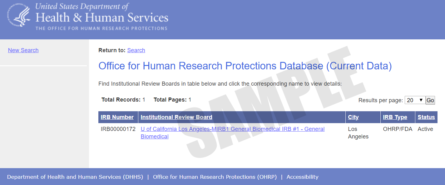 IRB Sample Search Result